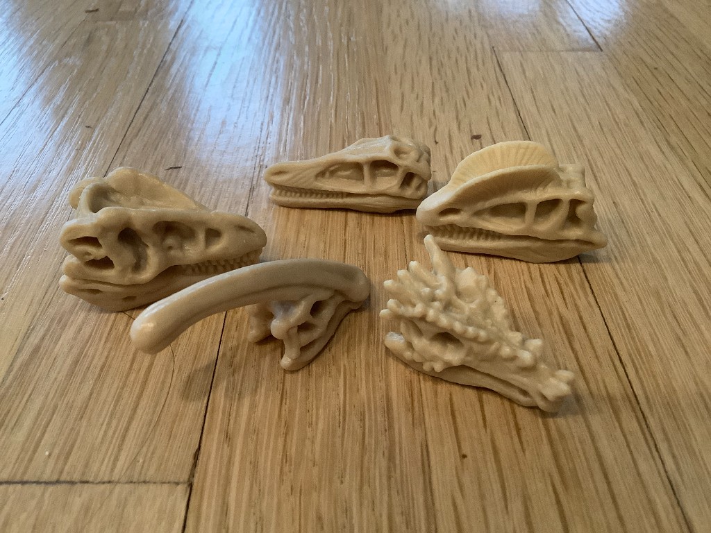 Dinosaur fossil replicas
