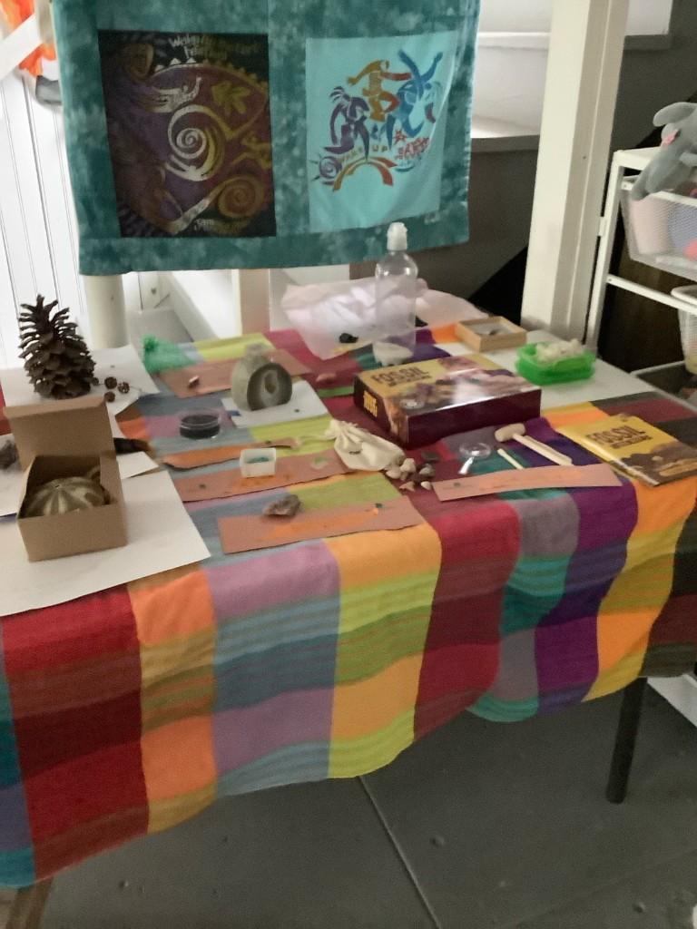 A table in the Museum of Specimens with activities and specimen tools laid out
